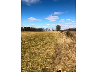 Property photo 9 - REAL ESTATE AUCTION - 30.5+/- ACRES IN 3 TRACTS IN KOSCIUSKO COUNTY, INDIANA